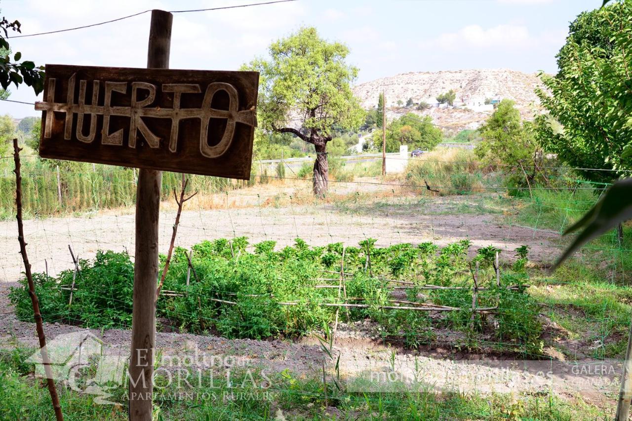 Galera Apartamentos Rurales El Molino De Morillas מראה חיצוני תמונה